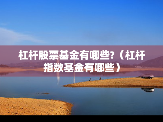 杠杆股票基金有哪些?（杠杆指数基金有哪些）