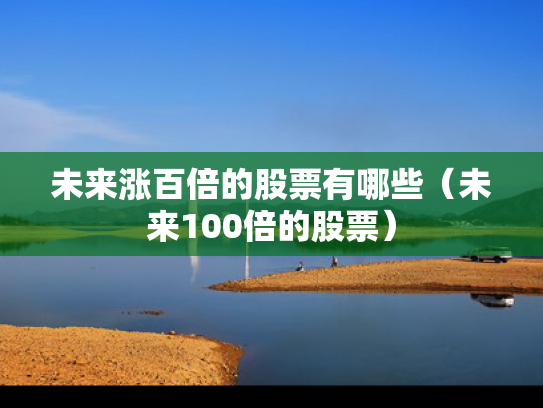 未来涨百倍的股票有哪些（未来100倍的股票）