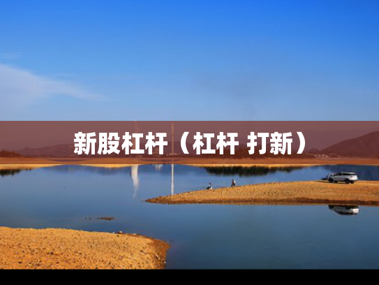 新股杠杆（杠杆 打新）