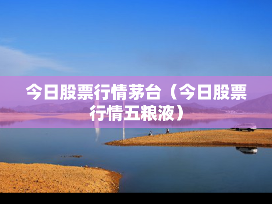 今日股票行情茅台（今日股票行情五粮液）