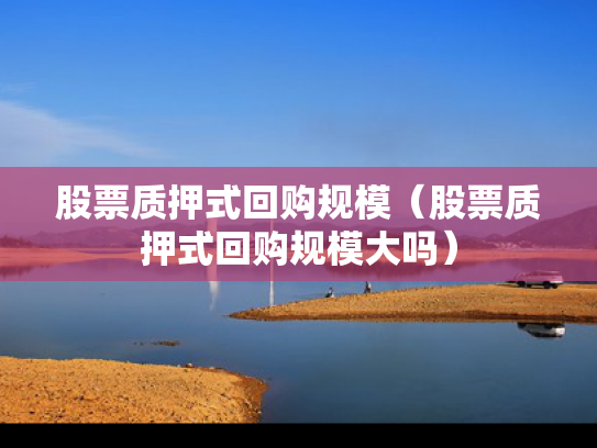 股票质押式回购规模（股票质押式回购规模大吗）