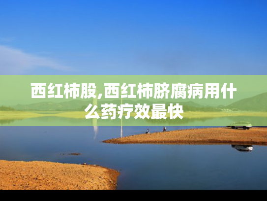 西红柿股,西红柿脐腐病用什么药疗效最快