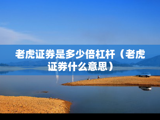 老虎证券是多少倍杠杆（老虎证券什么意思）