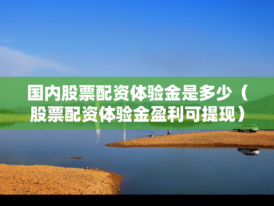 国内股票配资体验金是多少（股票配资体验金盈利可提现）