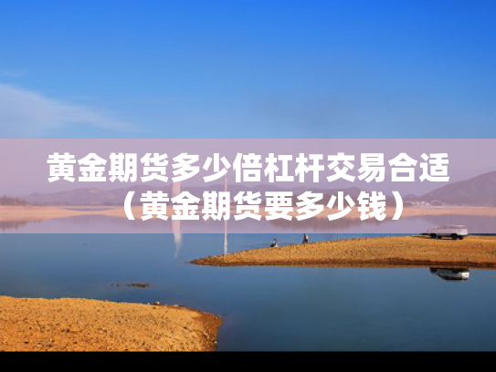 黄金期货多少倍杠杆交易合适（黄金期货要多少钱）
