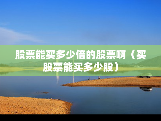 股票能买多少倍的股票啊（买股票能买多少股）