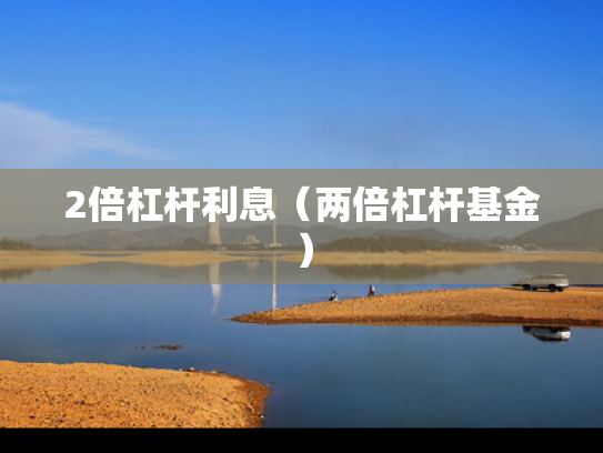 2倍杠杆利息（两倍杠杆基金）
