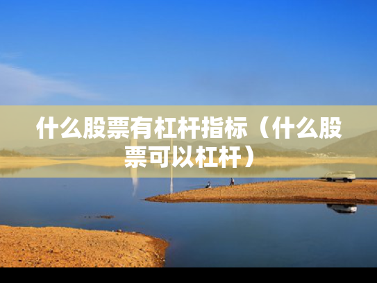 什么股票有杠杆指标（什么股票可以杠杆）