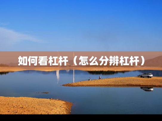 如何看杠杆（怎么分辨杠杆）