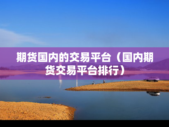 期货国内的交易平台（国内期货交易平台排行）