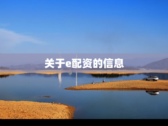 关于e配资的信息