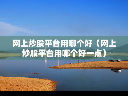 网上炒股平台用哪个好（网上炒股平台用哪个好一点）
