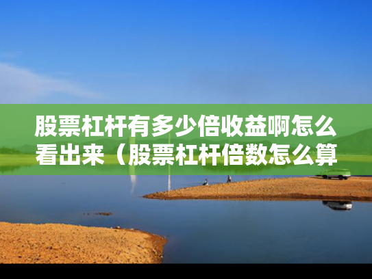 股票杠杆有多少倍收益啊怎么看出来（股票杠杆倍数怎么算）