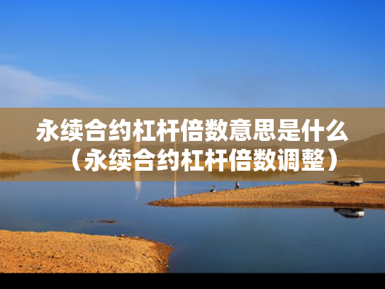 永续合约杠杆倍数意思是什么（永续合约杠杆倍数调整）