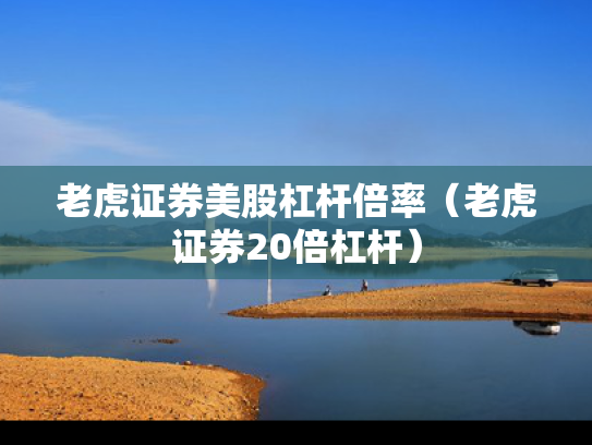 老虎证券美股杠杆倍率（老虎证券20倍杠杆）