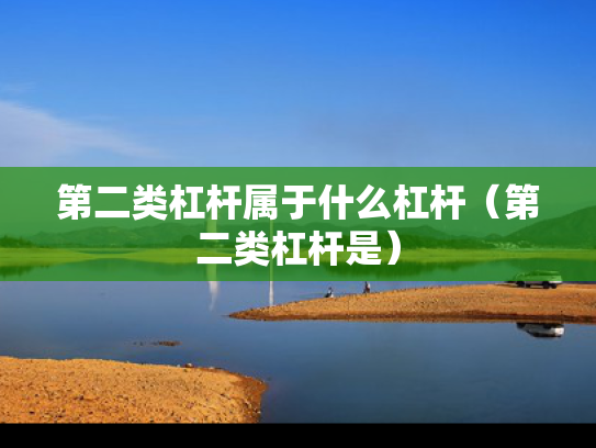 第二类杠杆属于什么杠杆（第二类杠杆是）