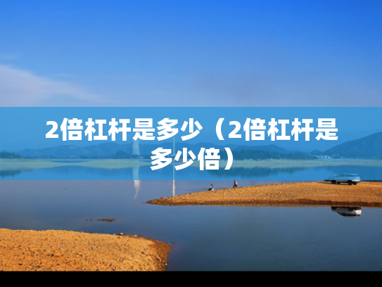 2倍杠杆是多少（2倍杠杆是多少倍）