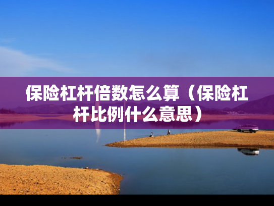 保险杠杆倍数怎么算（保险杠杆比例什么意思）