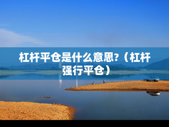 杠杆平仓是什么意思?（杠杆 强行平仓）