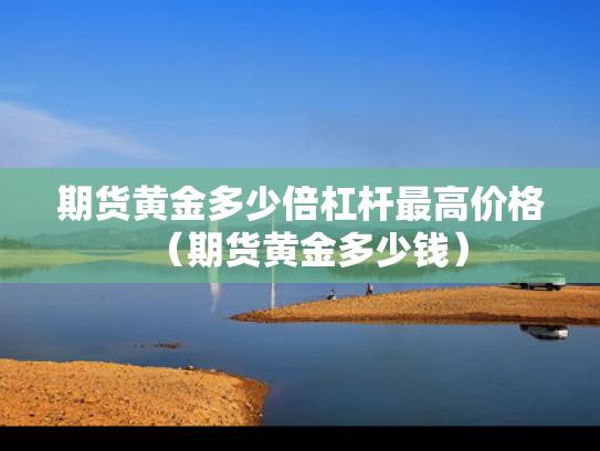 期货黄金多少倍杠杆最高价格（期货黄金多少钱）