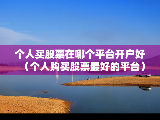 个人买股票在哪个平台开户好（个人购买股票最好的平台）