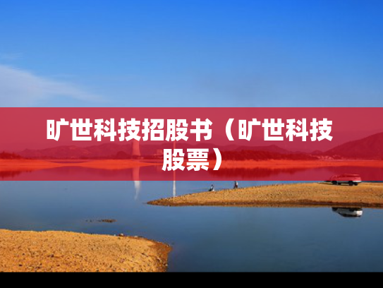 旷世科技招股书（旷世科技 股票）