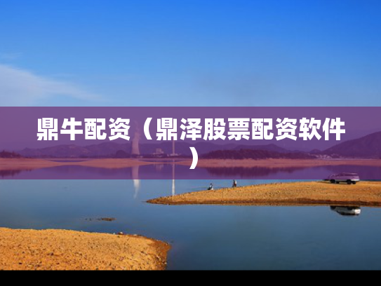 鼎牛配资（鼎泽股票配资软件）
