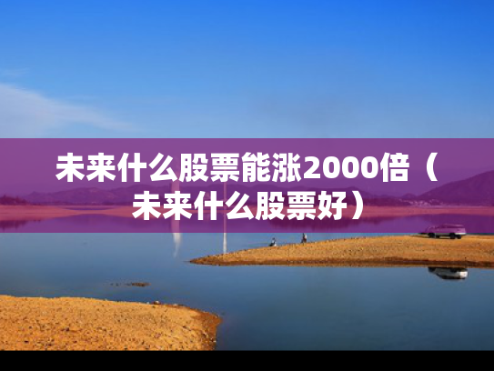 未来什么股票能涨2000倍（未来什么股票好）