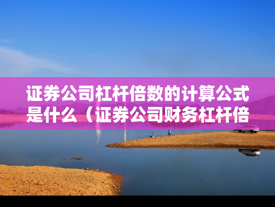 证券公司杠杆倍数的计算公式是什么（证券公司财务杠杆倍数）