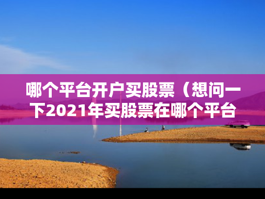 哪个平台开户买股票（想问一下2021年买股票在哪个平台开户好）