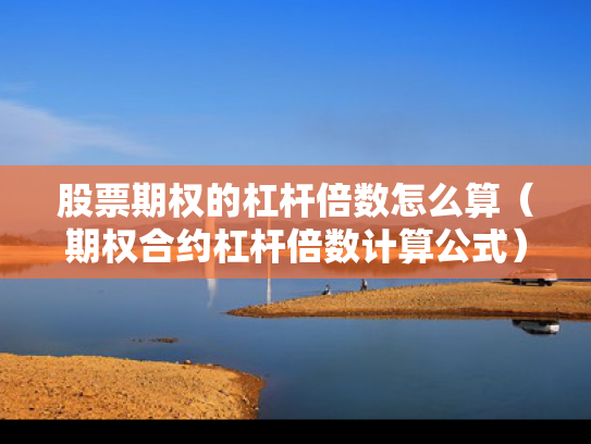 股票期权的杠杆倍数怎么算（期权合约杠杆倍数计算公式）