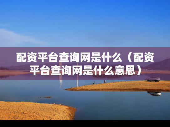 配资平台查询网是什么（配资平台查询网是什么意思）