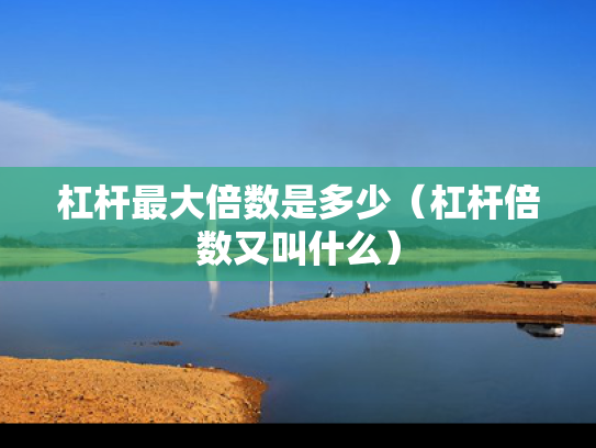 杠杆最大倍数是多少（杠杆倍数又叫什么）