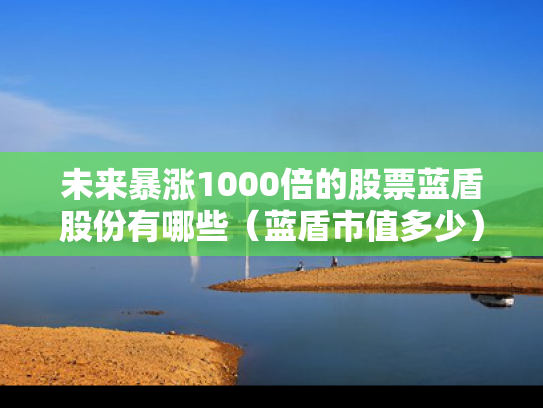 未来暴涨1000倍的股票蓝盾股份有哪些（蓝盾市值多少）