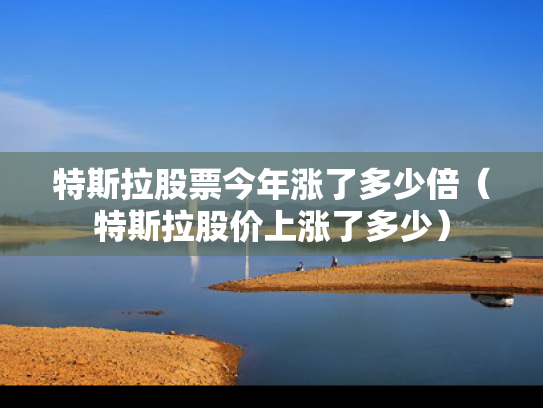 特斯拉股票今年涨了多少倍（特斯拉股价上涨了多少）