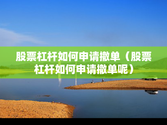 股票杠杆如何申请撤单（股票杠杆如何申请撤单呢）