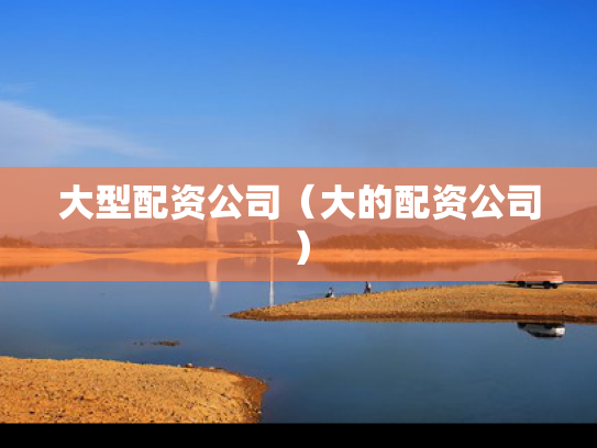 大型配资公司（大的配资公司）